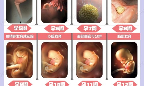 【宝宝放屁臭拉粑粑也臭怎么回事】宝宝总放屁大便有酸味 - 宝宝一直放屁大便酸臭网
